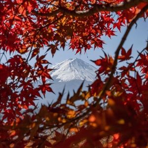 Meet your Posher, Charley